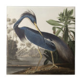 Audubon Louisiana Heron Vogels van Amerika Art Pri Tegeltje (Voorkant)