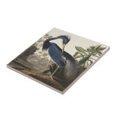 Audubon Louisiana Heron Vogels van Amerika Art Pri Tegeltje (Zijkant)