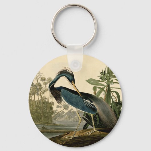Audubon Louisiana Heron Water Bird Sleutelhanger (Voorkant)