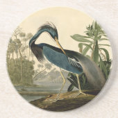 Audubon Louisiana Heron Zandsteen Onderzetter (Voorkant)