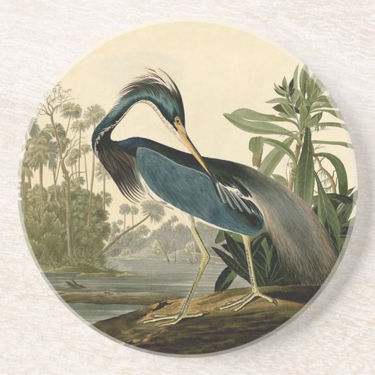 Audubon Louisiana Heron Zandsteen Onderzetter (Voorkant)