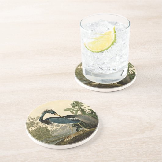 Audubon Louisiana Heron Zandsteen Onderzetter (Zijkant)