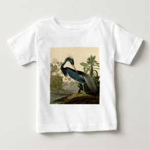 Audubon Louisiana Reiger Vogels Amerika Kunst