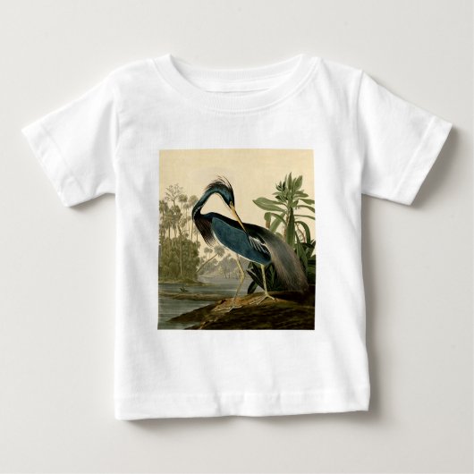 Audubon Louisiana Reiger Vogels Amerika Kunst (Voorkant)