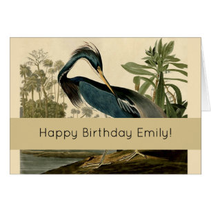 Audubon Louisiana Reiger Vogels Amerika Kunst
