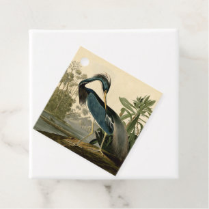 Audubon Louisiana Reiger Vogels Amerika Kunst Bedankjes Labels