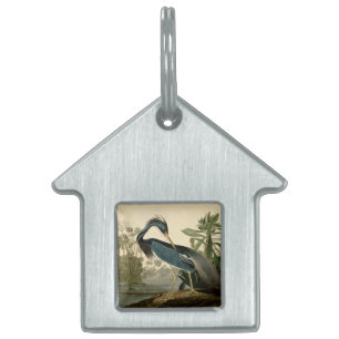 Audubon Louisiana Reiger Vogels Amerika Kunst Huisdieren Naamplaatje