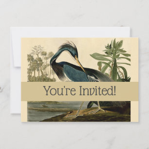 Audubon Louisiana Reiger Vogels Amerika Kunst Kaart
