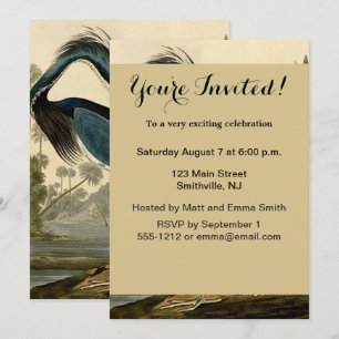 Audubon Louisiana Reiger Vogels Amerika Kunst Kaart