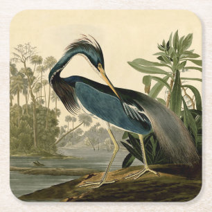 Audubon Louisiana Reiger Vogels Amerika Kunst Kartonnen Onderzetters