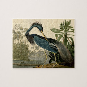 Audubon Louisiana Reiger Vogels Amerika Kunst Legpuzzel