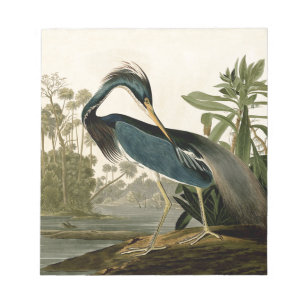 Audubon Louisiana Reiger Vogels Amerika Kunst Notitieblok