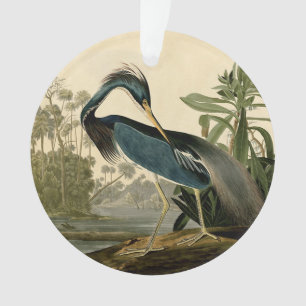 Audubon Louisiana Reiger Vogels Amerika Kunst Ornament