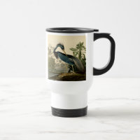 Audubon Louisiana Reiger Vogels Amerika Kunst