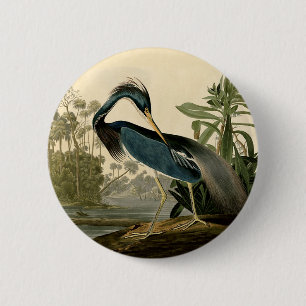 Audubon Louisiana Reiger Vogels Amerika Kunst Ronde Button 5,7 Cm