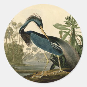 Audubon Louisiana Reiger Vogels Amerika Kunst Ronde Sticker
