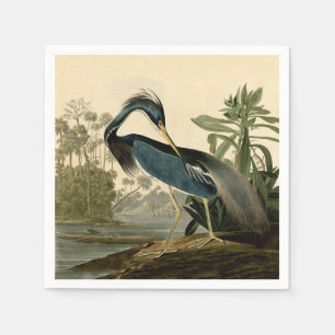 Audubon Louisiana Reiger Vogels Amerika Kunst Servet