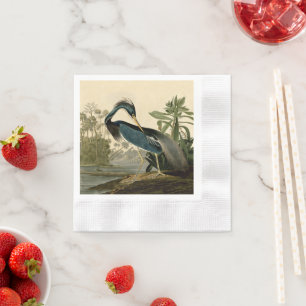 Audubon Louisiana Reiger Vogels Amerika Kunst Servet