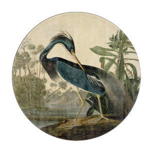 Audubon Louisiana Reiger Vogels Amerika Kunst Snijplank
