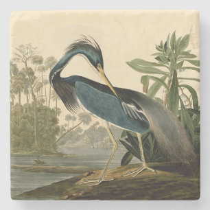 Audubon Louisiana Reiger Vogels Amerika Kunst Stenen Onderzetter