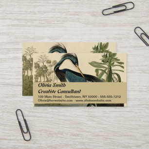 Audubon Louisiana Reiger Vogels Amerika Kunst Visitekaartje