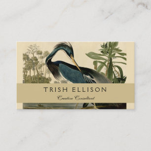 Audubon Louisiana Reiger Vogels Amerika Kunst Visitekaartje