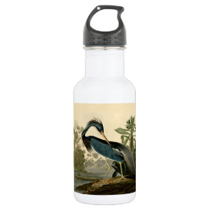 Audubon Louisiana Reiger Vogels Amerika Kunst Waterfles
