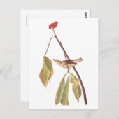 Audubon Louisiana Water Thrush Bird with Flower Briefkaart (Voorkant / Achterkant)