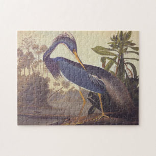 Audubon Lousiana Heron over kustmarsland Legpuzzel
