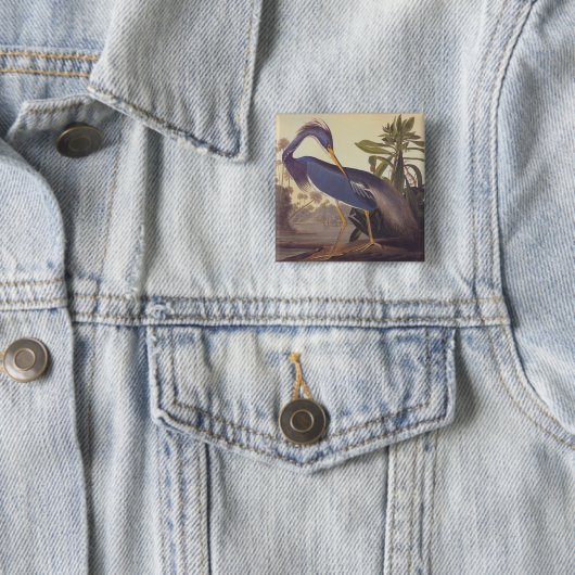 Audubon Lousiana Heron over kustmarsland Vierkante Button 5,1 Cm (In situ)