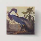 Audubon Lousiana Heron over kustmarsland Vierkante Button 5,1 Cm (Voorkant)