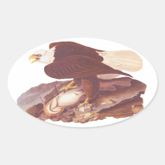 Audubon Majestic Kale Adelaar met Verse Vis Ovale Sticker (Voorkant)