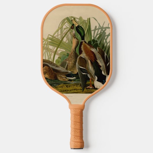 Audubon Mallard duck Bird  Print Pickleball Paddle (Voorkant)