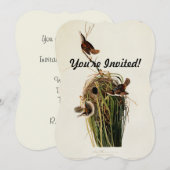 Audubon Marsh Wren Vogelkunst Kaart (Voorkant / Achterkant)