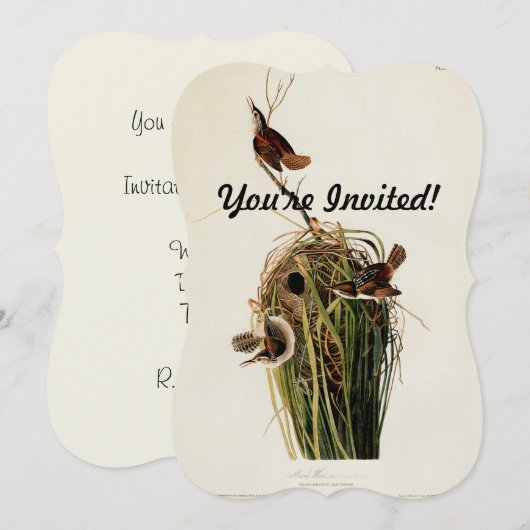 Audubon Marsh Wren Vogelkunst Kaart (Voorkant / Achterkant)