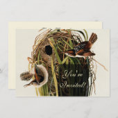 Audubon Marsh Wren Vogelkunst Kaart (Voorkant / Achterkant)