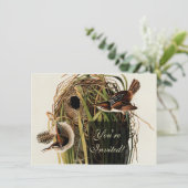 Audubon Marsh Wren Vogelkunst Kaart (Staand voorkant)