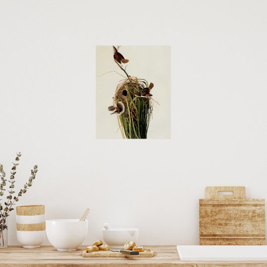 Audubon Marsh Wren Vogelkunst Poster (Keuken)
