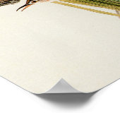 Audubon Marsh Wren Vogelkunst Poster (Hoek)