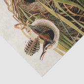 Audubon Marsh Wren Vogelkunst Tissuepapier (Detail)