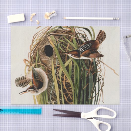 Audubon Marsh Wren Vogelkunst Tissuepapier (Craft)