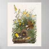 Audubon Meadowlark Botanische Print (Voorkant)