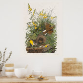 Audubon Meadowlark Botanische Print (Keuken)