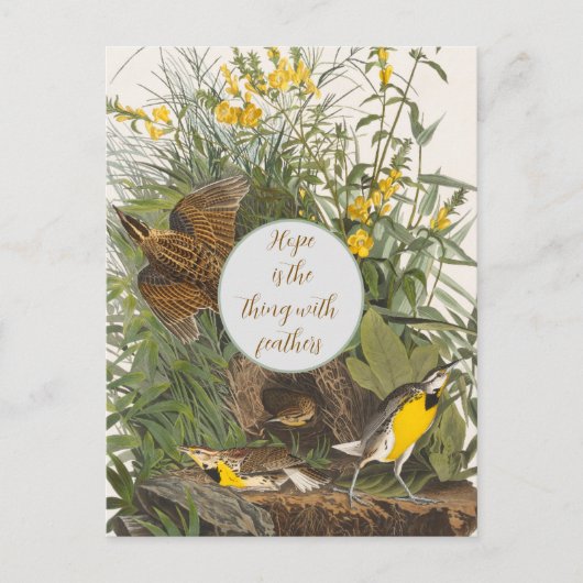 Audubon Meadowlark Print Briefkaart (Voorkant)