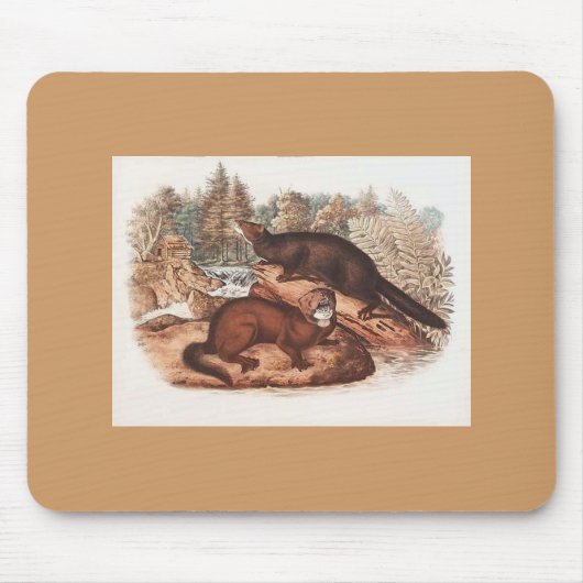 Audubon - Mink Muismat (Voorkant)