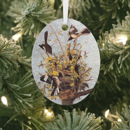 Audubon Mockingbird Family vs Snake Metalen Ornament (Insitu)