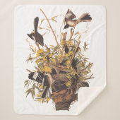 Audubon Mockingbird Family vs Snake Sherpa Deken (Voorkant)