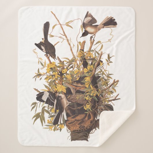 Audubon Mockingbird Family vs Snake Sherpa Deken (Voorkant)