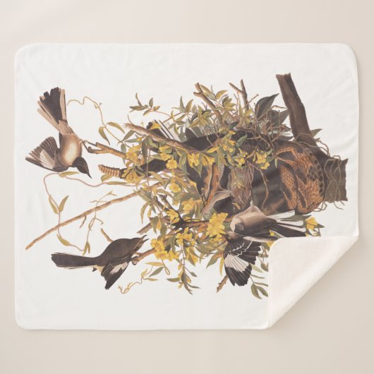 Audubon Mockingbird Family vs Snake Sherpa Deken (Voorkant (horizontaal))