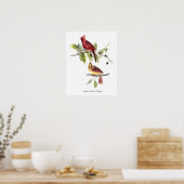 Audubon Northern Cardinals Poster (Keuken)